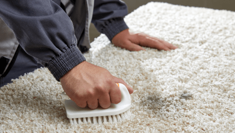 Professional Rug Cleaning Sunday Creek